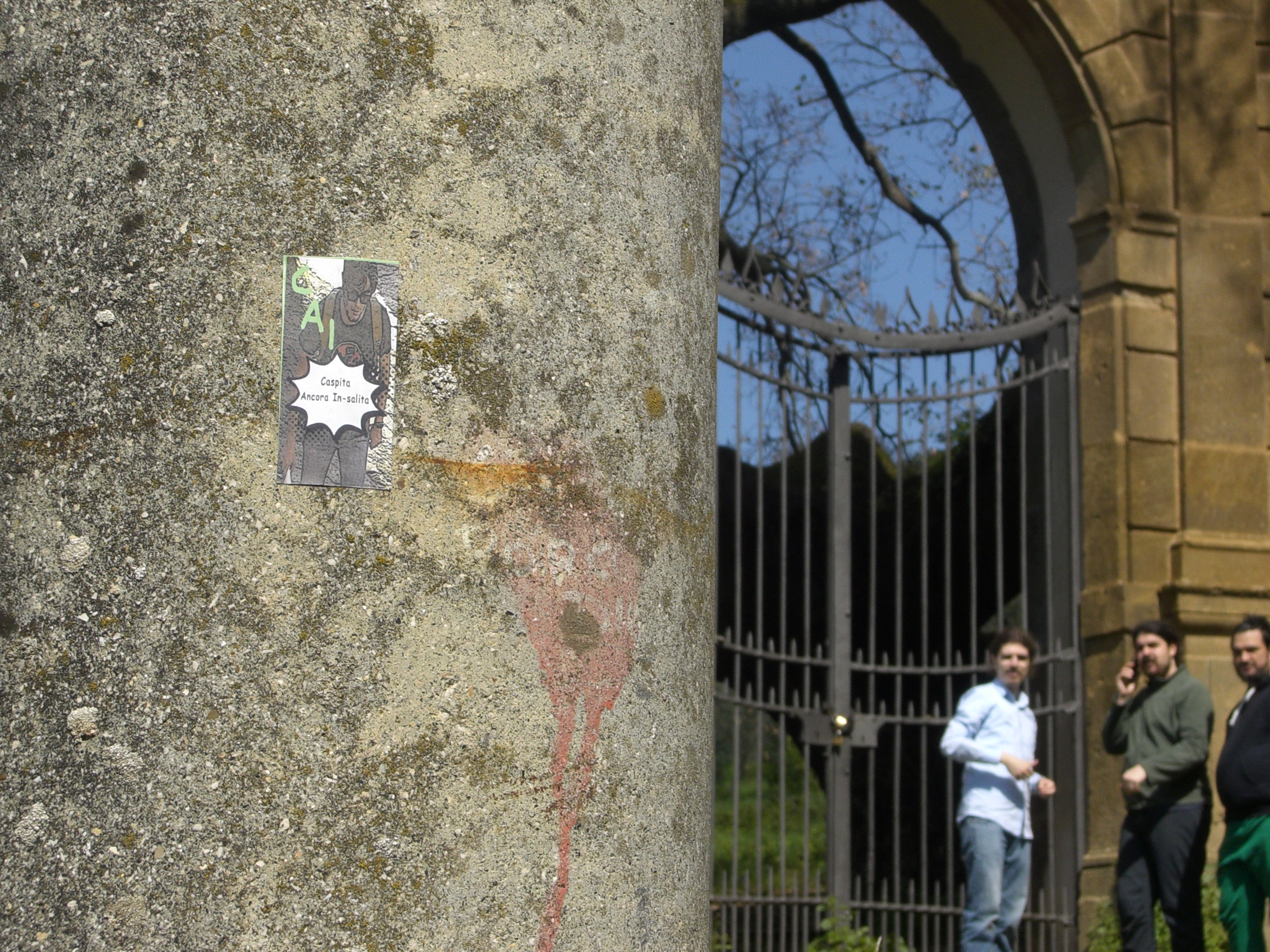 Roverella del Cancellone